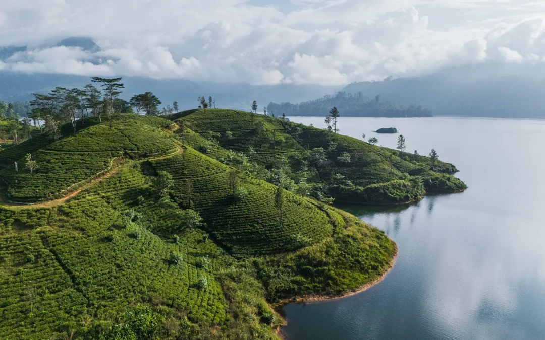 Sri Lanka